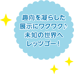 趣向を凝らした展示にワクワク♪未知の世界へレッツゴー！