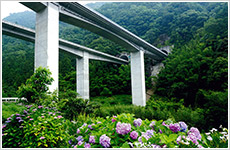 雨上がりの風景画像