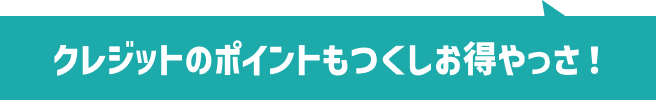 クレジットのポイントもつくしお得やっさ！